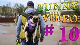 FUNNY VIDEO # 10