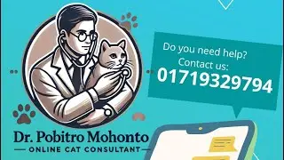 Cat Spraying Solution || আপনার বিড়াল কি সব জায়গায় মুতু করছে????