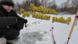 Где мои рыбы? Зимний подводный мир. Рыбачу с камерой на микроречке