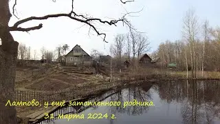 Лампово, ранняя весна. У ещё затопленного родника.