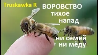 #Bees