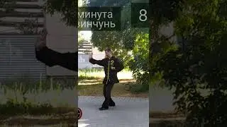 Минута винчунь 8. пак сао с перемещениями вперёд в пинсанма