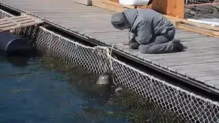 Знакомство с ларгами