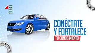 Webinar Rodamientos autos Ichiban