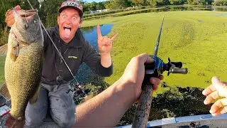 PUNCHING HEAVY CHEESE MATS for Minnesota HOG Largemouth!