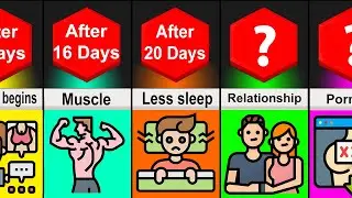 Timeline Comparison: What If You Stopped Masturbating  (NoFap)