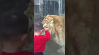 Roar 🐅 | Baby with tiger 🐯 #tiger #amazing