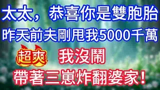 太太，恭喜你是雙胞胎，昨天前夫剛甩我5000千萬，我沒鬧，帶著三崽炸翻婆家！
