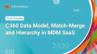 C360 Data Model, Match-Merge and Hierarchy in MDM SaaS