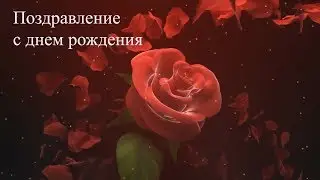 Congratulations on your birthday