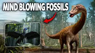 10 Most AMAZING Fossil Discoveries Ever Made