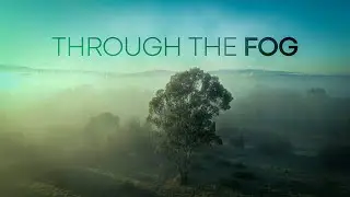 DJI mini 3 Pro - Through The Fog (Graded with Dehancer Pro)