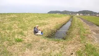 #346 次世代へ繋ぐ趣深きタナゴ釣り～北浦のホソに広がる極小の宇宙～