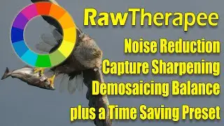 RawTherapee: Noise Reduction, Capture Sharpening & Demosaic Balance + But First a Time Saver Preset.