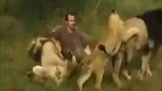Нежные питомцы сафари