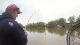 Catfish Tournament - Ohio River