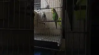 Bonding