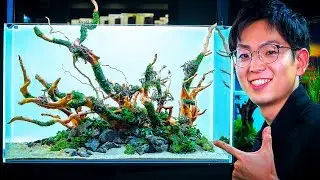 ADA AQUASCAPING WORKSHOP WITH DAICHI ARAKI AT GREEN AQUA - INTRODUCING THE AQUASKY RGB
