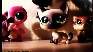 Lps клип~Ангел~[Bahh Tee] / ARINA LPS STUDIO
