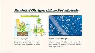 CARA MUDAH MEMAHAMI PROSES FOTOSINTESIS