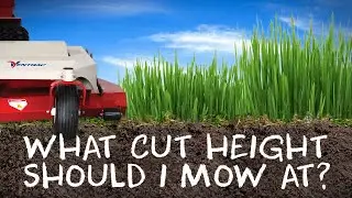 What is the Best Height to Cut Your Grass? Featuring Pete Denny of GCI Turf Services - Ventrac MMM