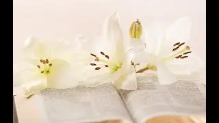 Фрагмент семинара по изучению смыслового кода Библии.  Книга пророка Исаии