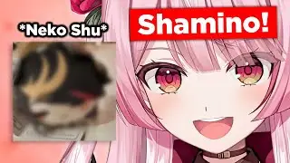 Rosemi won a Neko Shu plushie in Japan