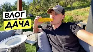 НА ДАЧЕ ХОРОШО! ВЕРНУЛИСЬ
