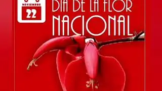 El ceibo-La flor Nacional
