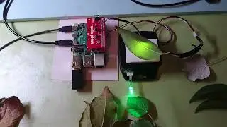 Plant Foliage Health IoT Monitor
