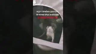 Ждут приема доктора