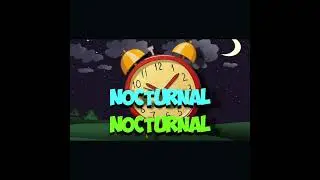 Nocturnal Animal Song Short