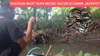 TUTORIAL MEMBUAT UMPAN IKAN MICRO DIJAMIN GACOR 🔥💯‼️‼️‼️