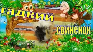 Гадкий свинёнок/некрасивые животные/Морская свинка/Пыжик в детстве