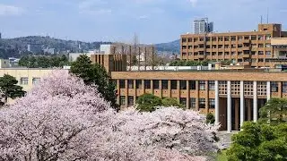 Top University in Japan 2023