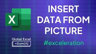 Insert data from a picture in Excel
