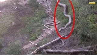 Top 10 fotografias mas misteriosas de la historia