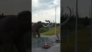 🤔 Яркие дома на Крайнем Севере 