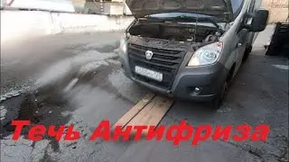 ANTIFREEZE LEAK - GAZELLE LEAKED!