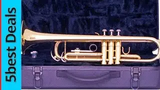 5 Best Trumpet In 2023