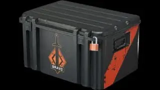 Opening CSGO Bravo Case