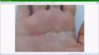 Хиромантия. Симиан Ведьмы.