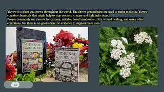 Medicinal Garden kit