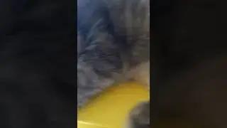 кот спит на котле. часть 2