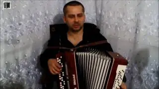 ФРИСТАЙЛ - БЕЛАЯ БЕРЁЗА (Игра на баяне)