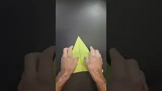 The 