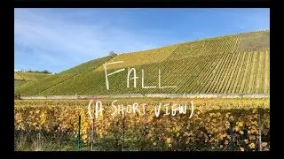 Autumn where I am | #themakestuffchallengeFALL #videochallenge