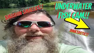 Ultra Clear Creek Fishing for SMALLMOUTH bass (UNDERWATER FOOTAGE!)