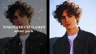 Timothee Chalamet | Scene Pack | 4K