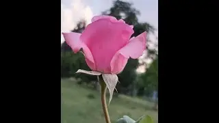 How to Add 3D Photo to Facebook